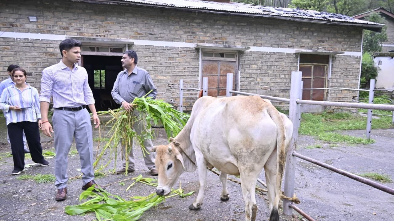 जिलाधिकारी अंशुल सिंह ने भैंसवाड़ा फ़ार्म में निर्माणाधीन गौशाला का किया निरीक्षण, सुरक्षा एवं मूलभूत सुविधाओं को बेहतर बनाने के दिए निर्देश